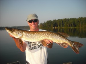 Single angler landed 4 of 8 hooked fish (2 over 40") and a bonus pike on his 5th time musky fishing! July 2012