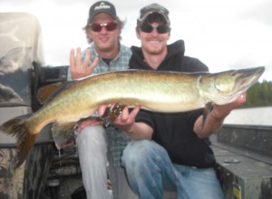 1st Place Squirrel Lake Musky Hunt 2012 Fish #4