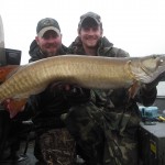 A nice double in the rain and a personal best casting tiger for Matt. September 2012.
