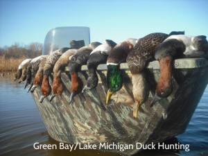 Great lakes waterfowling cover