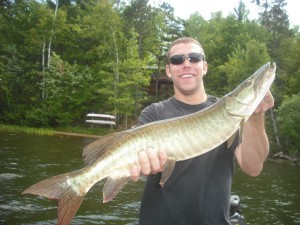Father-Son Clients Walter and Ryan tagged this nice fish. This was Ryan's first career musky! Great job!