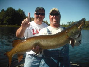 A true Northern WI dandy and a new personal best for client Greg on a mid September outing! 82nd Northern WI musky in the boat for the year and one heck of a fish!