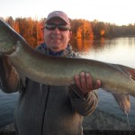 Client Randy with his first musky (43") ever on his first ever musky trip! The fish crushed the bait boatside! Had 2 other hookups and one boatside blowup. Half day outing early October.