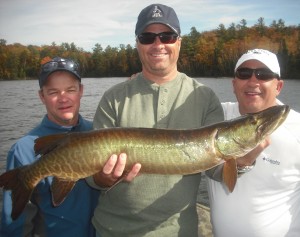 Client Jim with his first musky ever! Another nice fish on the 2nd day of the trio's trip! Well done!