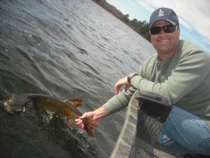 Client Jim with his first musky ever! Another nice fish on the 2nd day of the trio's trip! Well done!