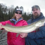 Congrats to Client Michelle with her first musky of the season and her new personal best! Boatside hit and the 50th Client-caught fish of the season! Mid October 2013.