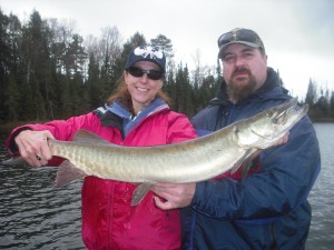 Congrats to Client Michelle with her first musky of the season and her new personal best! Boatside hit and the 50th Client-caught fish of the season! Mid October 2013.