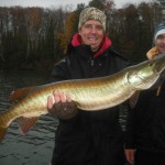 Congrats to Clients Kevin and Brian on a very nice chunky low 40s on a half day trip October 19th. Last guide trip of the year and 51st Client-caught fish of the season and 98th musky in the boat. Great way to end the year in the rain/snow and 33 degree weather!