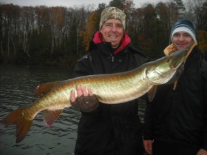 Congrats to Clients Kevin and Brian on a very nice chunky low 40s on a half day trip October 19th. Last guide trip of the year and 51st Client-caught fish of the season and 98th musky in the boat. Great way to end the year in the rain/snow and 33 degree weather!