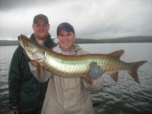 Client Josh Crushed his personal best with this chunky northwoods musky in mid June on a half day trip after a string of T-storms.