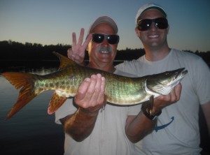 Fish 3 of 5 Clients John and Matt boated 5 muskies their first time musky fishing!  Half day trip Late June 2013