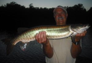 Client John's best musky his first time musky fishing.  At the buzzer!