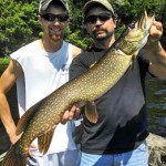 A nice first musky and a decent pike caught by this father-son duo on their first time ever musky fishing!  Late June 2014.