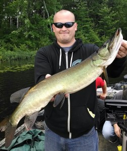 A great first musky for a first time musky angler on a half day outing! mid July 2014.