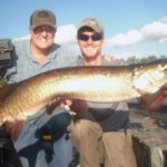A nice Vilas county musky on a half day outing. July 2014