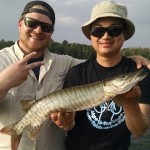 1st musky career musky for Eugene shortly after losing a low 40" class fish.