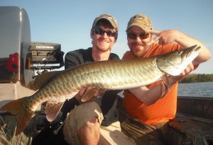 A nice double for Ed in musky league!