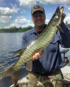 His first musky of the season!